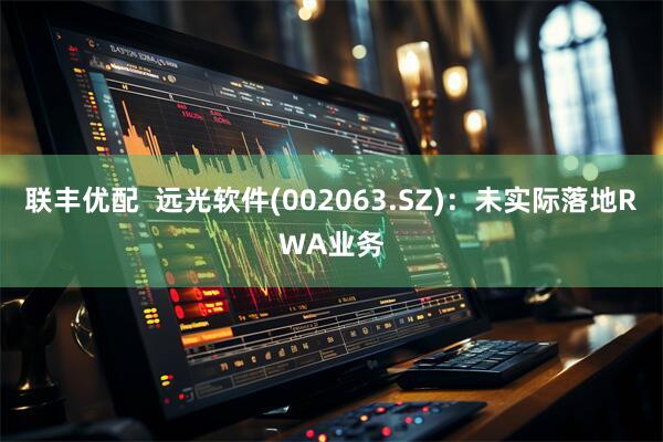 联丰优配  远光软件(002063.SZ)：未实际落地RWA业务